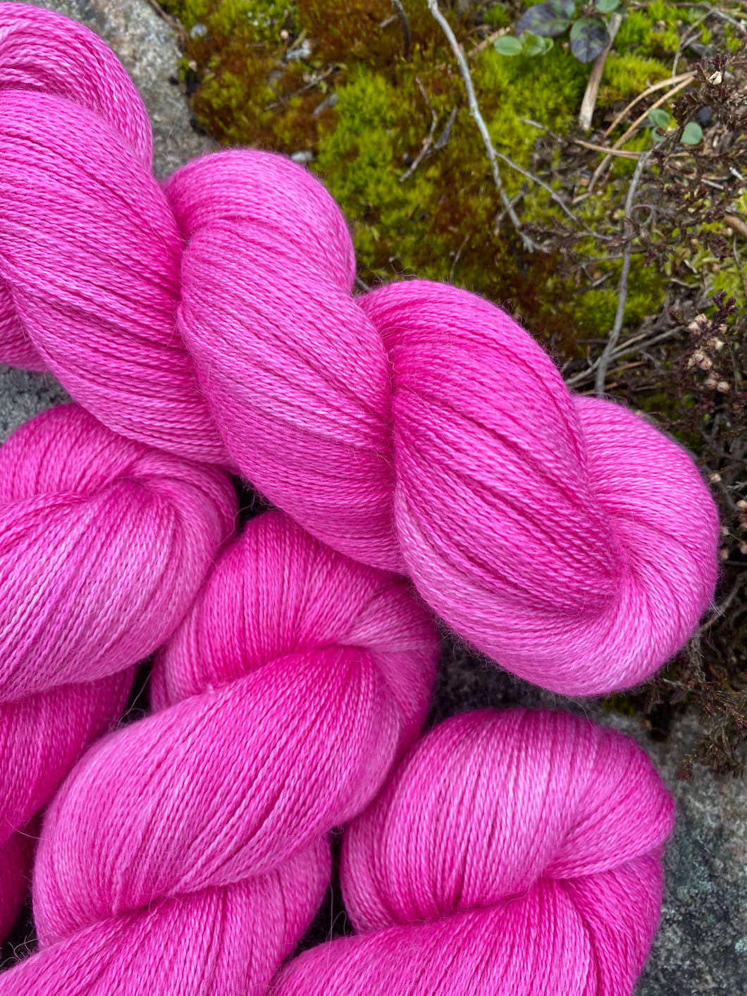 Pink in the Middle - Cashmere Lace